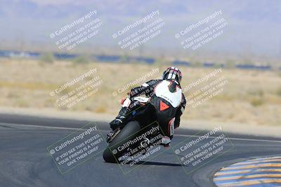 media/May-13-2023-SoCal Trackdays (Sat) [[8a473a8fd1]]/Turn 11 Backside (945am)/